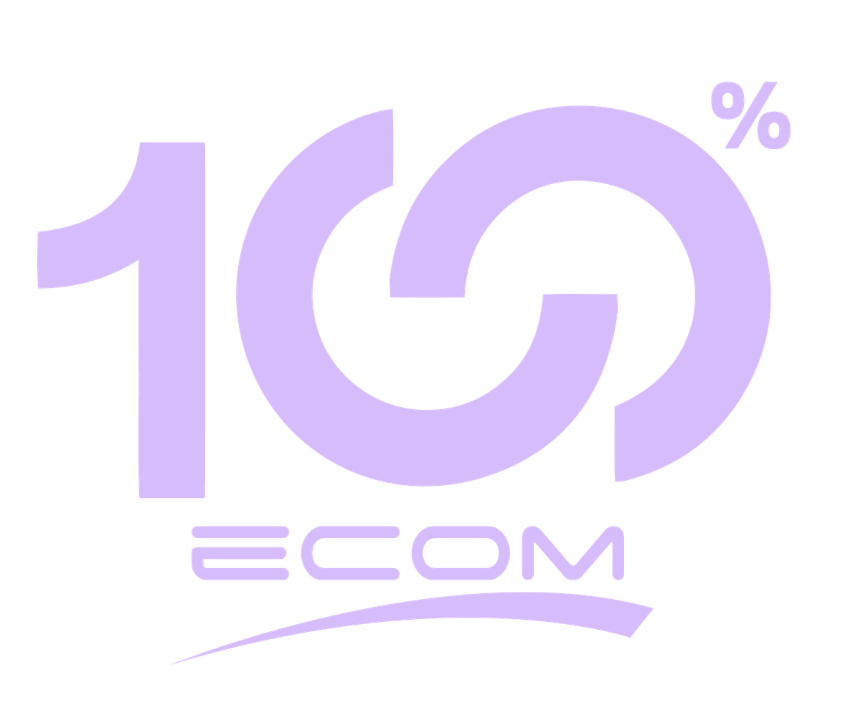 100 Ecom